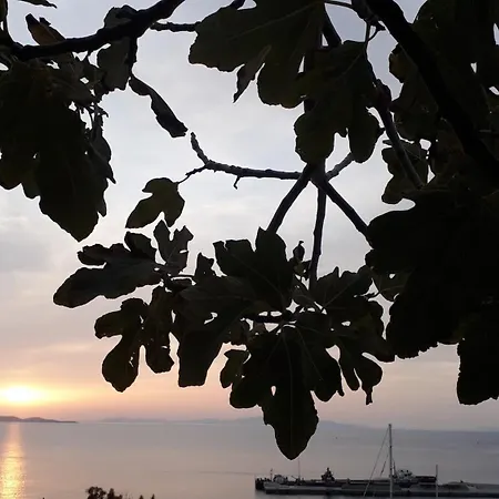 Sunny New Port Mykonos 3* Τούρλος