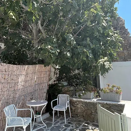 Sunny New Port Mykonos Πανσιόν 3*