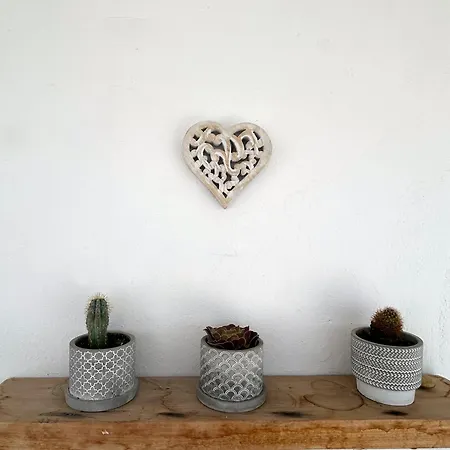 Gasthof Sunny New Port Mykonos Tourlos