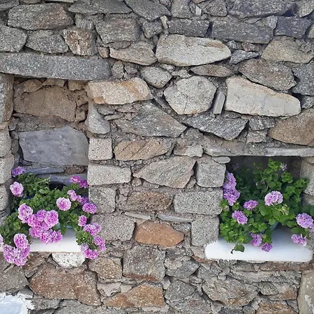 Sunny New Port Mykonos 3* Tourlos