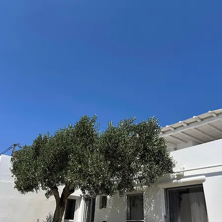 Πανσιόν Sunny New Port Mykonos 3*