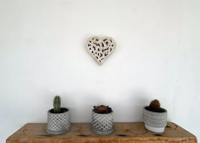 Πανσιόν Sunny New Port Mykonos Τούρλος