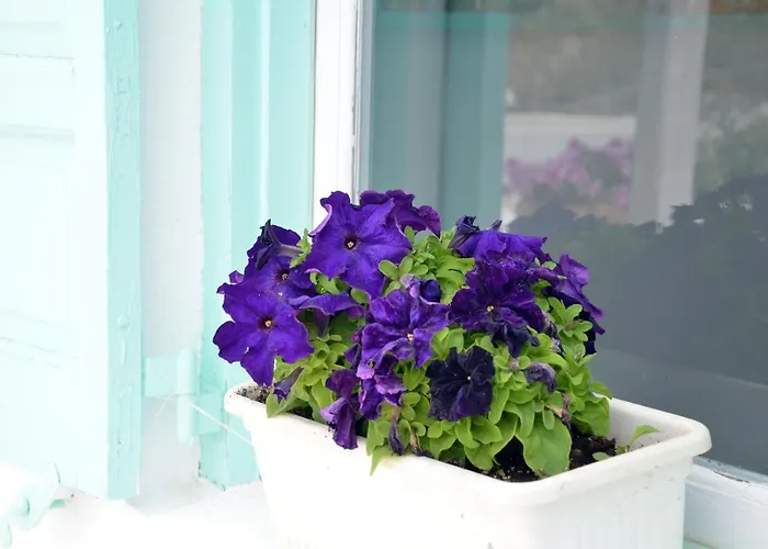 Sunny New Port Mykonos Tourlos